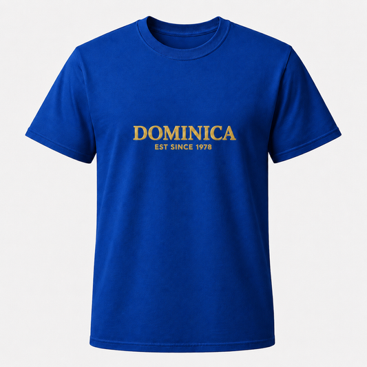 Men's T-shirt