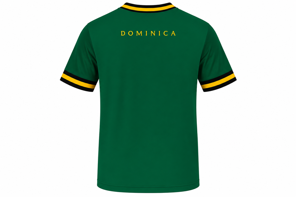 Flag Jersey – Men's