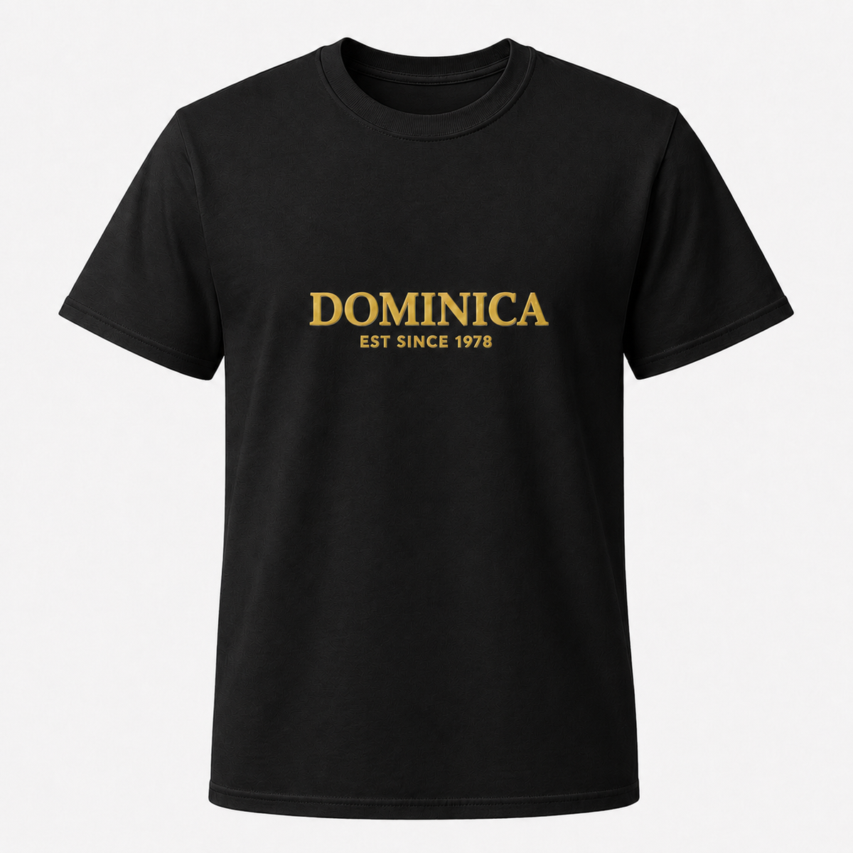 Men's T-shirt
