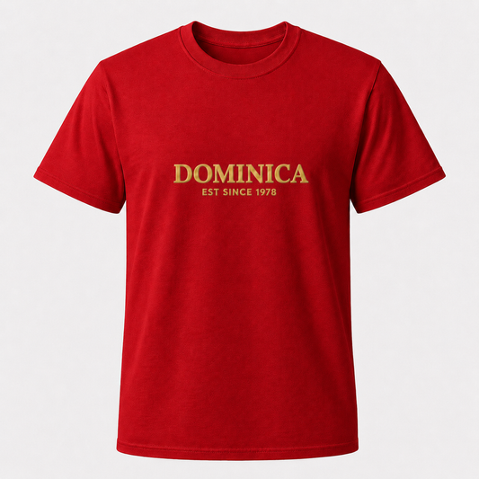 Men's T-shirt