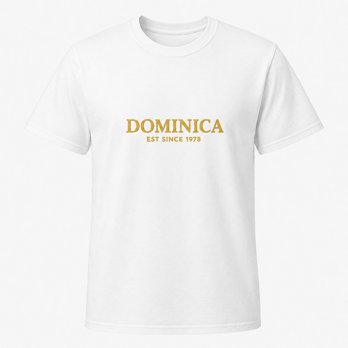 Men's T-shirt